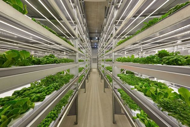 The time is ripe to reimagine urban agriculture with vertical farming.  The ongoing global food crisis, especially in urban areas, presents a unique opportunity to develop and strengthen this revolutionary and sustainable way of food production.