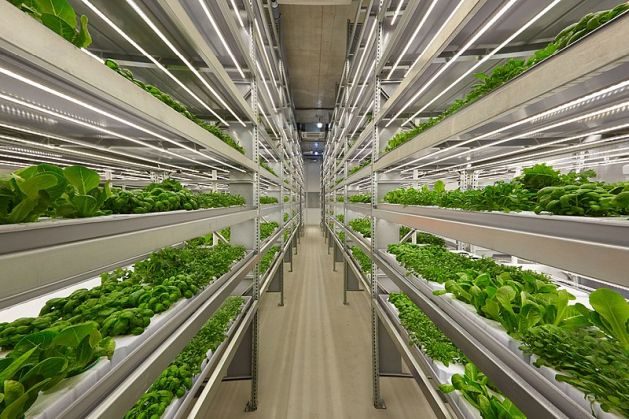 Reimagining Urban Agriculture With Vertical Farming — Global Issues