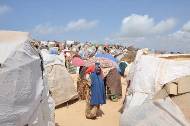 In 2010-2011, a devastating drought led to more than 260,000 deaths beyond normal levels of expected mortality in Somalia. Yet almost no one died in Ethiopia after a severe drought in 2015. Credit: Abdurrahman Warsameh/IPS