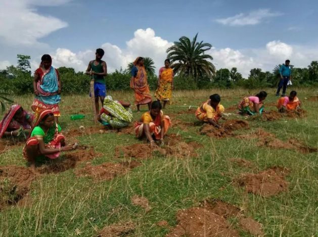 Indian Village Unlocks Treasure of Organic, Indigenous Farming — Global Issues