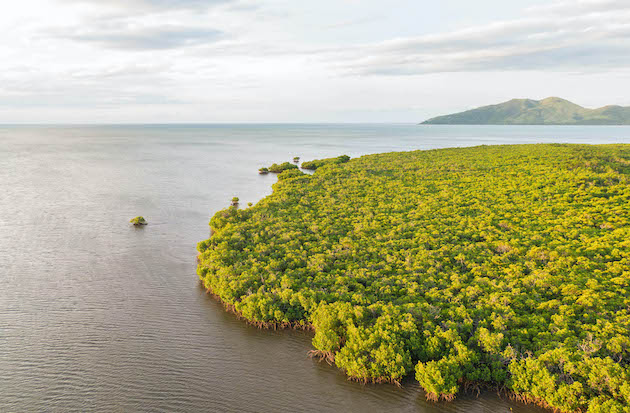 In Fiji's Kadavu and Ra Islands, SPC supported the implementation of an integrated coastal management (ICM) and climate change resilience project.  Photo credit: SPC
