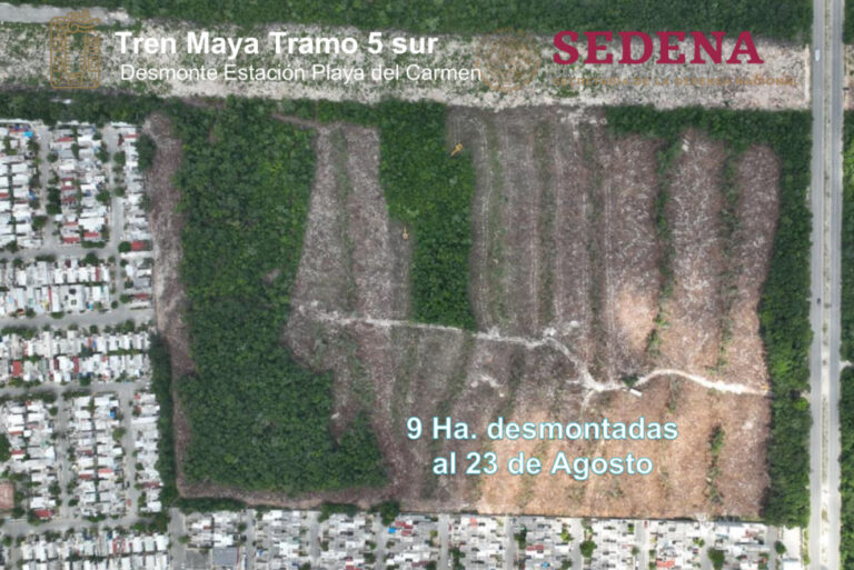 Parts of the jungle of the Yucatan peninsula, in southeastern Mexico, have been cut down to make way for the construction of the Mayan Train. But the environmental prosecutor's office, failing to comply with its legal duty, has turned a deaf ear to complaints of alleged ecological crimes. CREDIT: Guacamaya Leaks