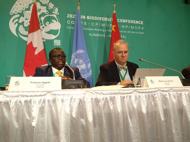 Francis Ogwal and Basile Van Havre, co-chairs of the Global Biodiversity Framework, at a press meeting after the framework was adopted. Credit: Stella Paul/IPS