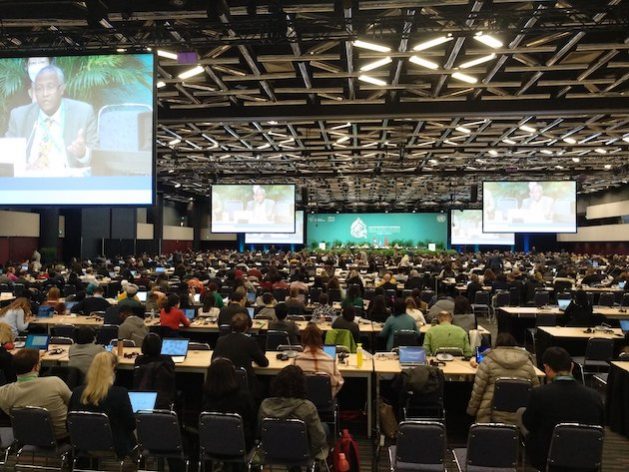 Final plenary session of COP15. Some analysts say the adopted framework is a good compromise. Credit: Stella Paul/IPS