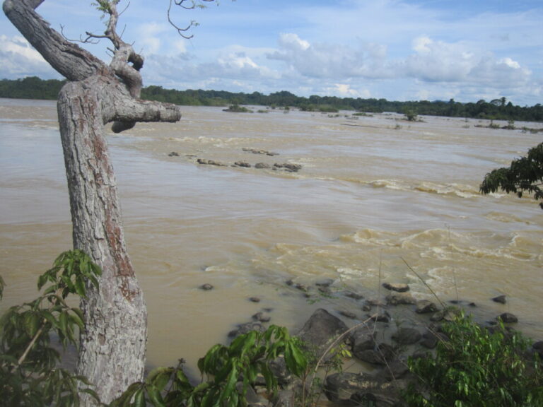 A view of the Branco River, some five kilometers upstream of the point where the Brazilian government plans to build the Bem Querer hydroelectric power plant. Because the river has little gradient on the central plains of the northern state of Roraima, the reservoir would flood an extensive area, including part of the capital Boa Vista, which has 436,000 inhabitants. This has triggered heavy opposition to the project, by the local indigenous population as well. CREDIT: Mario Osava/IPS