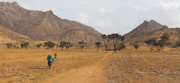 Conflicts and drought in the Sahel are impacting the development of Africa's ambitious Great Green Wall. Credit: UN Chad