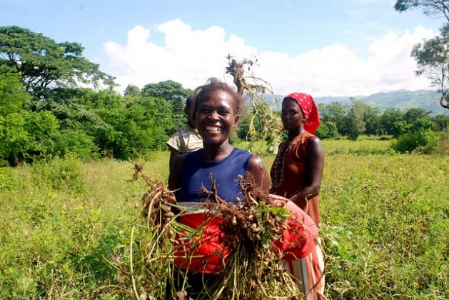 The Caribbeans Role in the Transformation of Agri-Food Systems — Global Issues