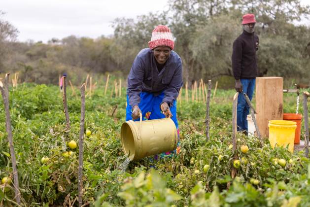 Managing Water Sustainably Is Key To the Future of Food and Agriculture — Global Issues