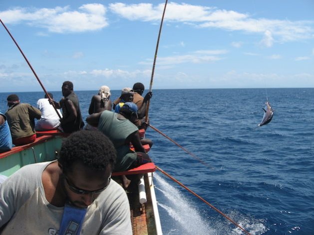 Pacific Community-led regional initiative aims to assist countries in the region with mitigating the impacts of climate change-induced tuna migration. Credit: Pacific Community/SPC