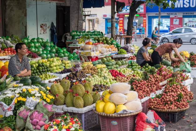 What Local Food Challenges and Choices Across Vietnam Reveal About a Global Push for Food Systems Transformation — Global Issues