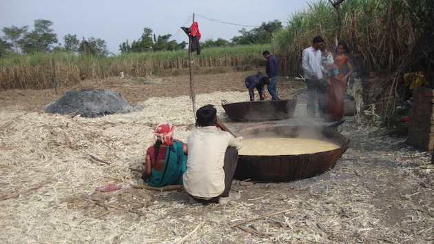 Jaggery making on a sugarcane farm in Mandla