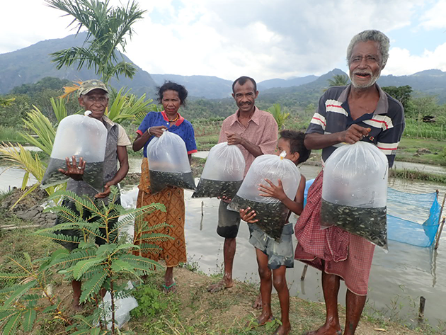 How the Rise of Timor-Lestes Aquaculture Sector Is a Blueprint for Other Small Island Nations