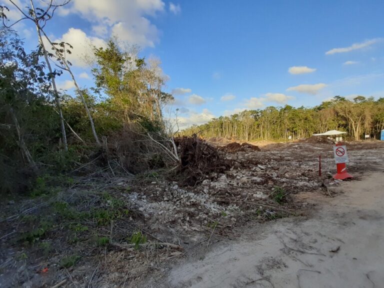 Mexico’s three state development banks are partially financing the Mayan Train, for which they have failed to comply with the due process of the evaluation of socio-environmental risks that are part of their regulations. The photo shows the clearing of part of the route of one of the branches of the railway line in the municipality of Playa del Carmen, in the southeastern state of Quintana Roo, in March 2022. CREDIT: Emilio Godoy / IPS