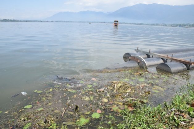 Thousands of dead fish in Dal Lake, Kashmir, are of concern to fishers, who make a living off the lake. Credit: Umar Manzoor Shah/IPS