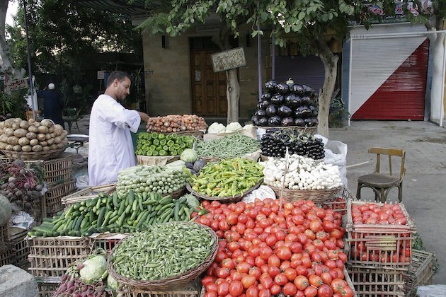 Kahire yakınlarındaki El-Maadi köyündeki bir sebze tezgahında taze sebze yığınları ile bir kenevir tüccarı.  CoFSA, üreticiler, yetiştirdikleri gıdalar, aşçılar ve tüketiciler arasındaki kopan bağları yenilemeyi amaçlıyor.  Kredi: Gavin Bell/İklim Görselleri