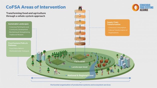 Bilinçli Gıda Sistemleri Birliği (CoFSA) konseptinin grafik gösterimi.  Kredi: UNDP/CoFSA