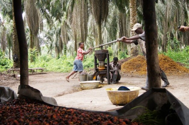 With one-fifth of farming households dependent on palm oil production, policy considerations that look after the environment, lives, and livelihoods were essential.