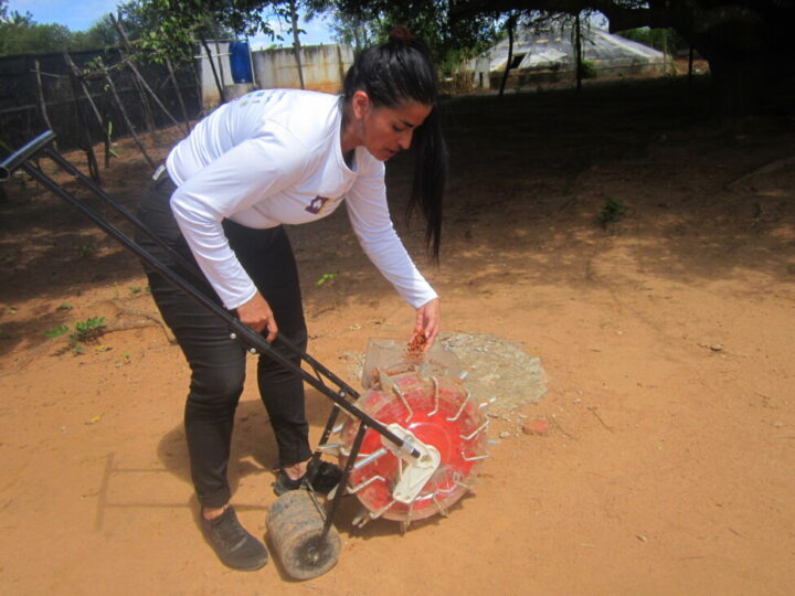 "It’s the best invention," says Lucineide Cordeiro, as she shows IPS the seeder created by the Japanese for small-scale farming, which allows her to sow in half a day the land that used to take her two days to plant, on her one-hectare farm in Afogados da Ingazeira, in Brazil’s semiarid Northeast. CREDIT: Mario Osava / IPS