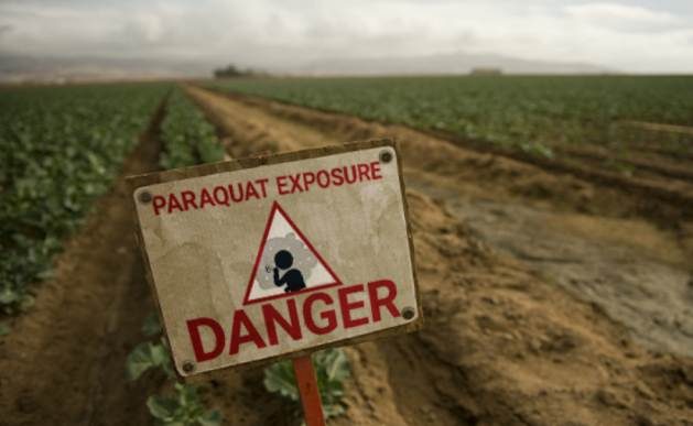 Paraquat is currently banned in over 67 countries, including China, the EU, and Brazil. In the US, it's labelled as a restricted-use substance, meaning that farmworkers are still allowed to spray it on crops as long as they receive proper EPA training and certification. Credit: Atraxia Law