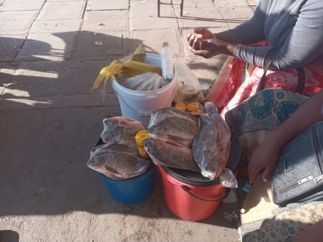 Overfishing is harming the informal traders who rely on it for income. CREDIT: Marko Phiri/IPS