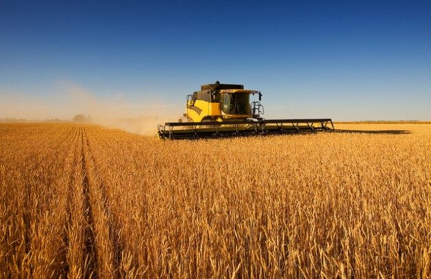 The time is ripe to transform American agriculture from monoculture heavy farming and food systems to diversified cropping and food systems with a variety of crops including specialty crops. Credit: Bigstock.