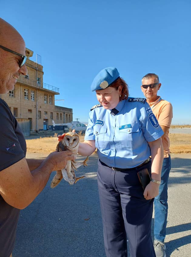 UNFICYP Senior Police Advisor Satu Koivu strives to practice environmentally responsive policing in line with UN environmental management mandates. Here is admires a young barn owl; the population has been introduced into the buffer zone between north and south Cyprus. Credit: UNFICYP