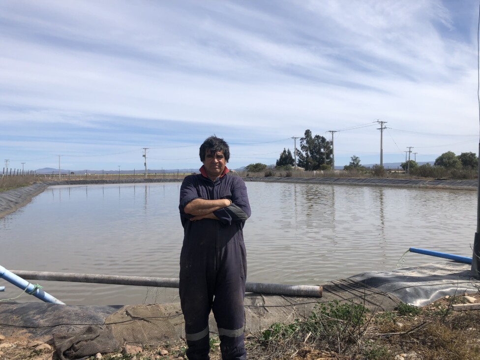 Treated Wastewater Is a Growing Source of Irrigation in Chile’s Arid North — Global Issues
