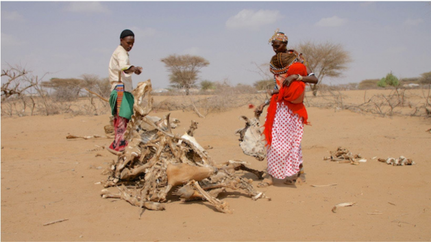 Hunger in East Africa Is a True Testament to Climate Injustice — Global Issues