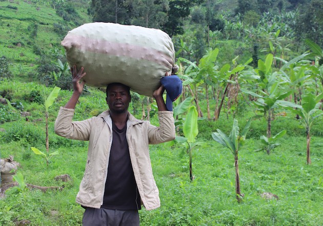 Though the area is disaster-prone, the soils in the foothills of Mount Elgon in Bududa district are fertile. Residents risk staying because of good crop yields. Credit: Wambi Michael/IPS