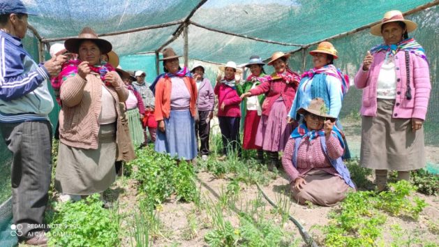 Fermina Quispe (fourth from the right, standing) poses for photos together with other farmers from the Women's Association of Huerto de Nueva Esperanza, which she chairs and with which she promotes crop irrigation with solar pumps in her community, Llarapi Chico, located more than 4,000 meters above sea level in the municipality of Arapa in the southern Peruvian highlands of the department of Puno, a region badly affected by drought. CREDIT: Courtesy of Jesusa Calapuja