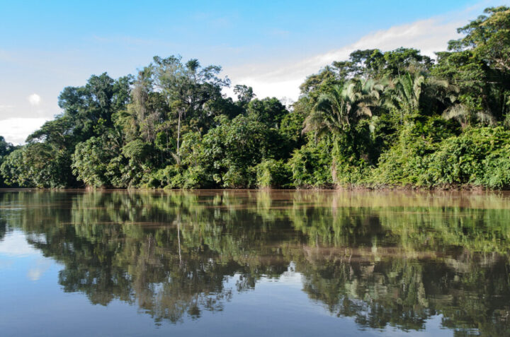 View of one of the rivers inside the Yasuni park, in northeastern Ecuador, which preserves an incomparable biodiversity. CREDIT: Manel Ortega Fernández / Flickr
