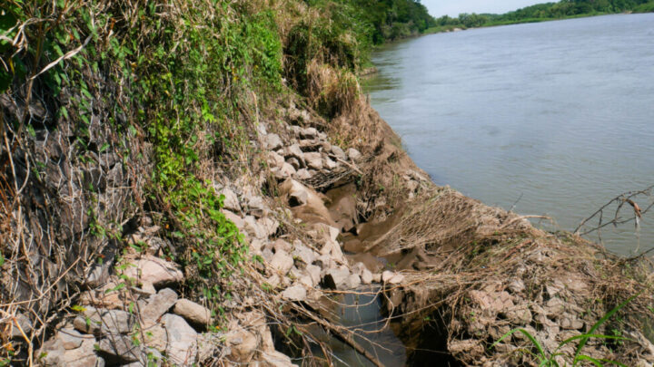 Part of the levee that has been undermined by the force of the waters of the Lempa River, near the Rancho Grande community in the Bajo Lempa, a coastal ecoregion located in the municipality of Tecoluca in southern El Salvador. CREDIT: Edgardo Ayala / IPS