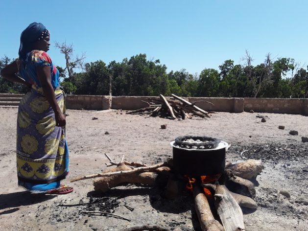 In Africa, the average amount of time spent collecting firewood is 2.1 hours, which robs women and girls of hundreds of hours every year. Credit: Joyce Chimbi/IPS
