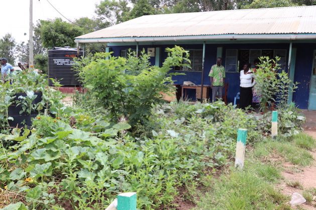 The land at St Denis Libolina primary, a school for physically challenged has been transformed into food forests and gardens using agroecology and feed the children, teachers. They have now sent a challenge to the community to do the same. Credit: Isaiah Esipisu/IPS