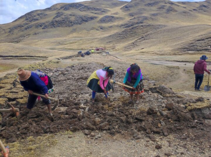Women and men from the community of Sachac, in the Peruvian municipality of Urcos in the Andes highlands of Cuzco, organized themselves to carry out communal tasks for more than eight hours a day in order to dig infiltration ditches, as part of the works of planting and harvesting water, with which they reversed the absence of rainfall that hit them since 2021 and until the end of November this year. CREDIT: Courtesy of Marco Arango