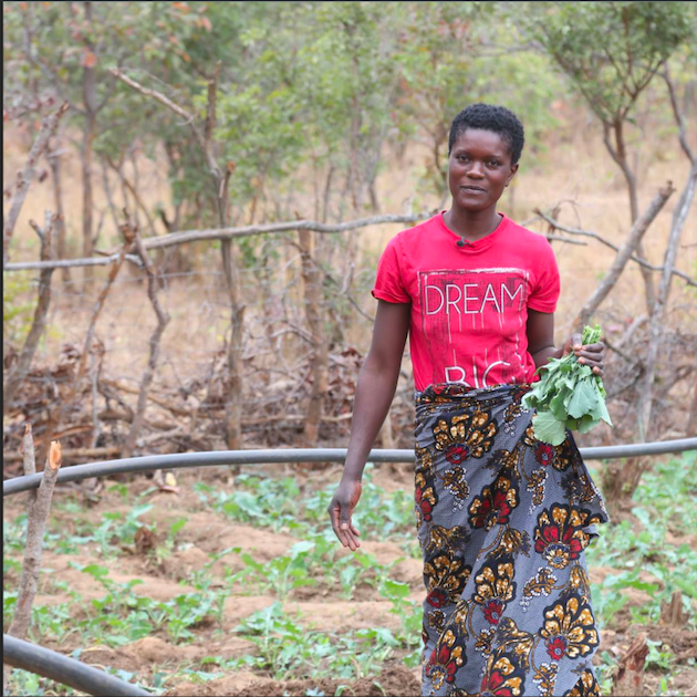 Eunice Mwape is 26 and the mother of four children. She used to travel far to garden because there was not enough water near her village of Shatubi. Now thanks to an IFAD sponsored project E-SLIP, Eunice has water close to her house. Credit: IFAD 