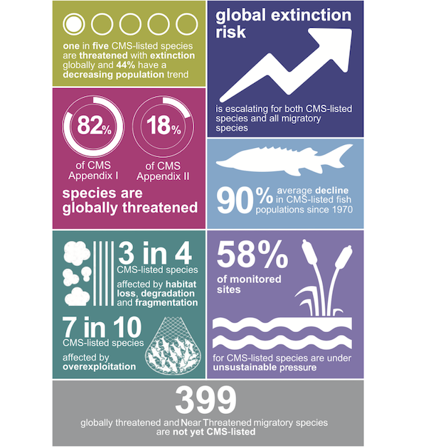 State of the world's migratory species, credit: CMS