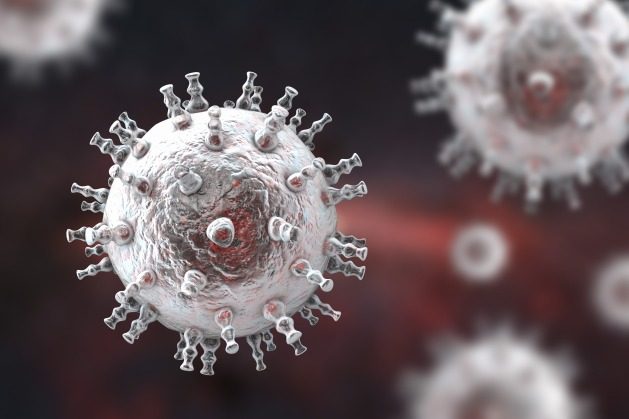 Kaposi's sarcoma virus. The World Health Organization predicts a 60% rise in global cancer cases over the next two decades, with an 81% increase expected in low- and middle-income countries. Endowment funds offer a sustainable way to radically enhance cancer care in under-resourced regions. Credit: Shutterstock.