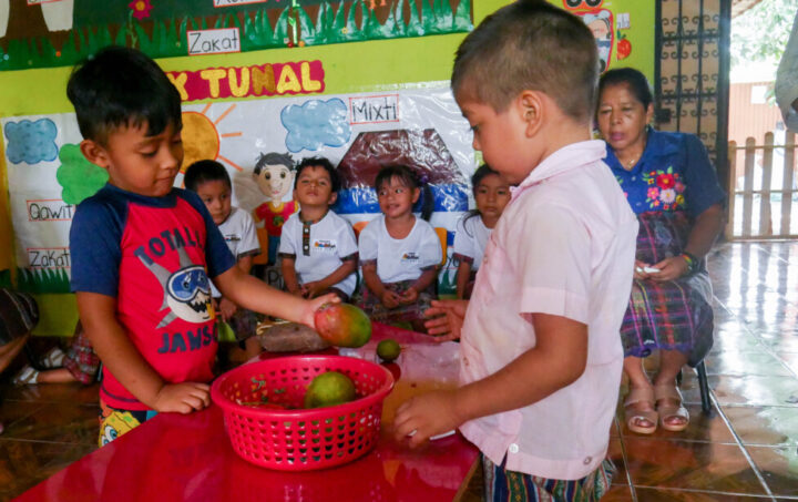 دو کودک وانمود می‌کنند که میوه و سبزیجات می‌خرند و می‌فروشند و به زبان ناهواتل صحبت می‌کنند، به عنوان بخشی از تمرینات یادگیری در Nahuatl Kuna در غرب السالوادور، پیش‌دبستانی برای نسل‌های جدید سالوادوری‌ها برای یادگیری زبان تقریباً منقرض شده سرخپوستان آمریکایی.  اعتبار: Edgardo Ayala /IPS