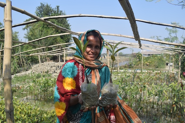 Many women in Banishanta village of Dakop upazila (sub-district) of Khulna district are happy and financially better off after starting a mangrove nursery. Credit: Rafiqul Islam Montu/IPS