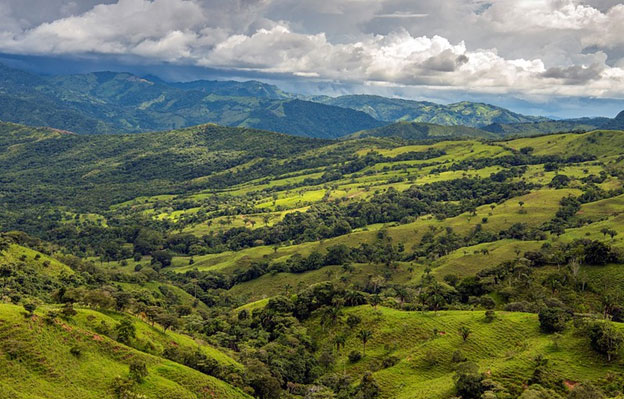 In a Changing World, Protecting Nature is Protecting Our Future — Global Issues