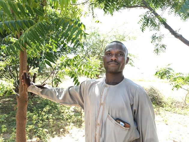 Ambitious Great Green Wall Shows Slow, Steady Progress in Strengthening Landscapes, Improving Livelihoods