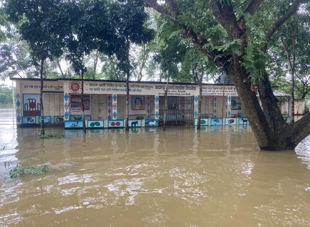 Before the Flood, Jannat Carried Books. After the Flood, She Carried Dirty Dishes
