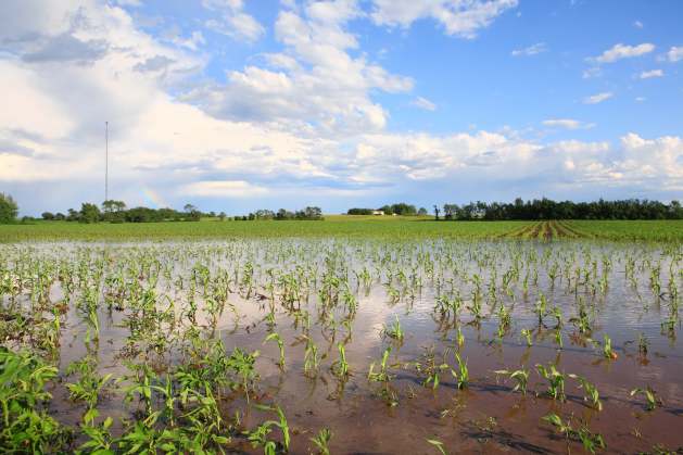 The Overlooked Impact of Flooding on Crops, Soils and Food Systems