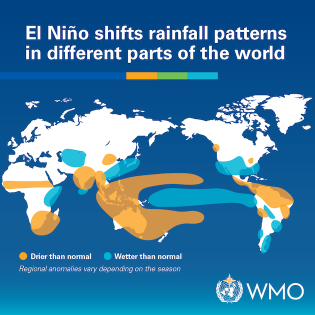  WMO