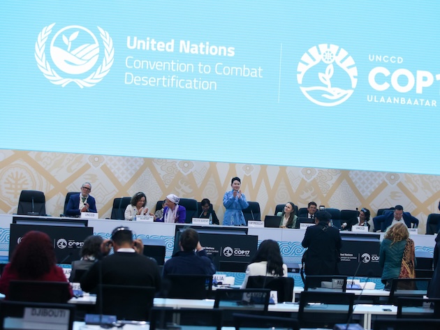 Africa’s Pastoralists Need More Than COP17’s $1.2 billion Rangelands Pledge