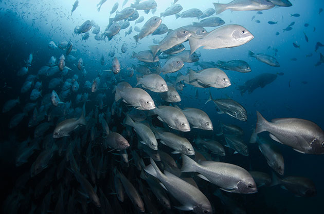 Norway’s Development Rethink Should See Ocean Investment as a Strategic Interest