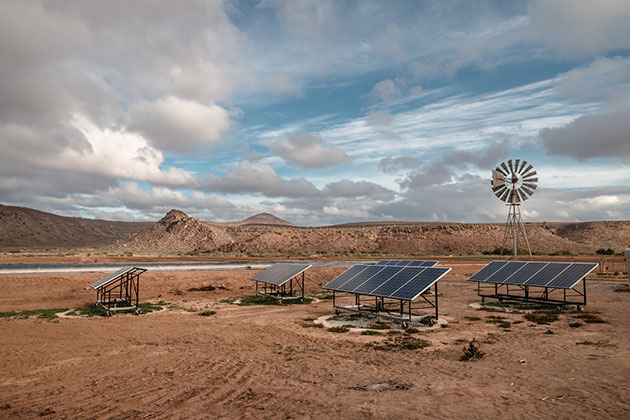 Africa Has the Technology to Achieve Food Security—Now It Needs Coordinated Deployment