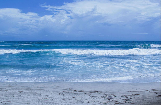 The BBNJ Agreement: From Paper to Protection – The Real Test for Global Ocean Governance