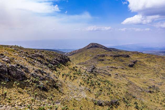 Africa’s Rangelands Are the Frontline of Resilience – COP17 Showed Why